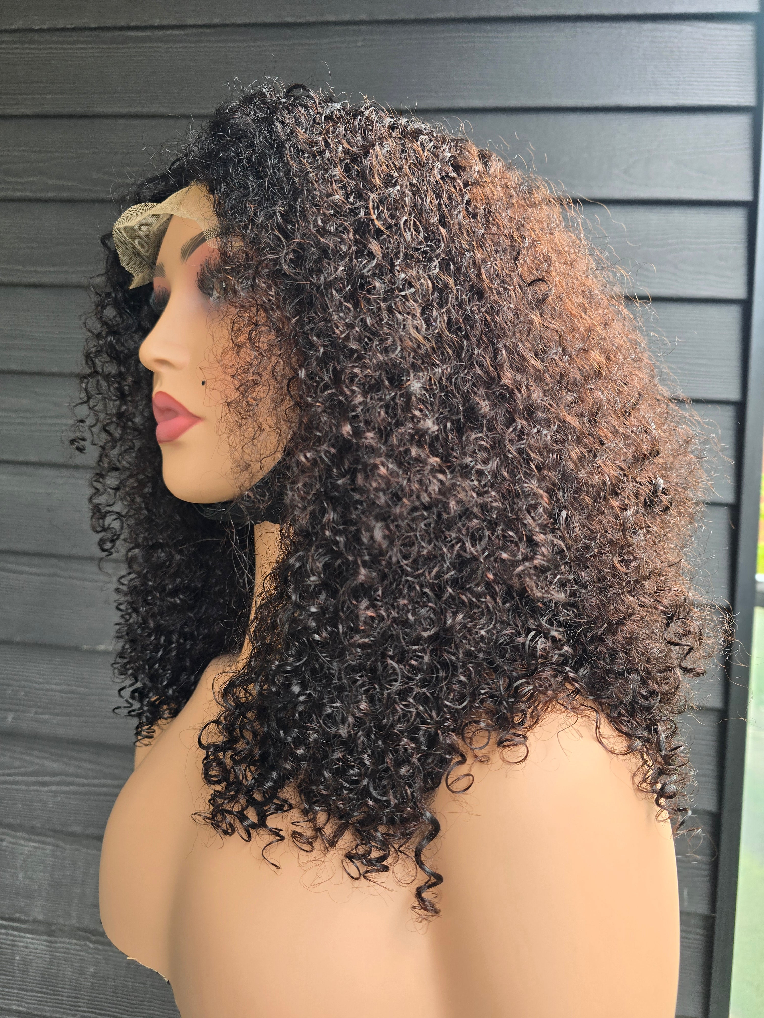 Luxury vietnamese Curly Raw Hair 4x4 Lace Closure Wig | Double Drawn 300% Density (Color TB/33) | 16 inch