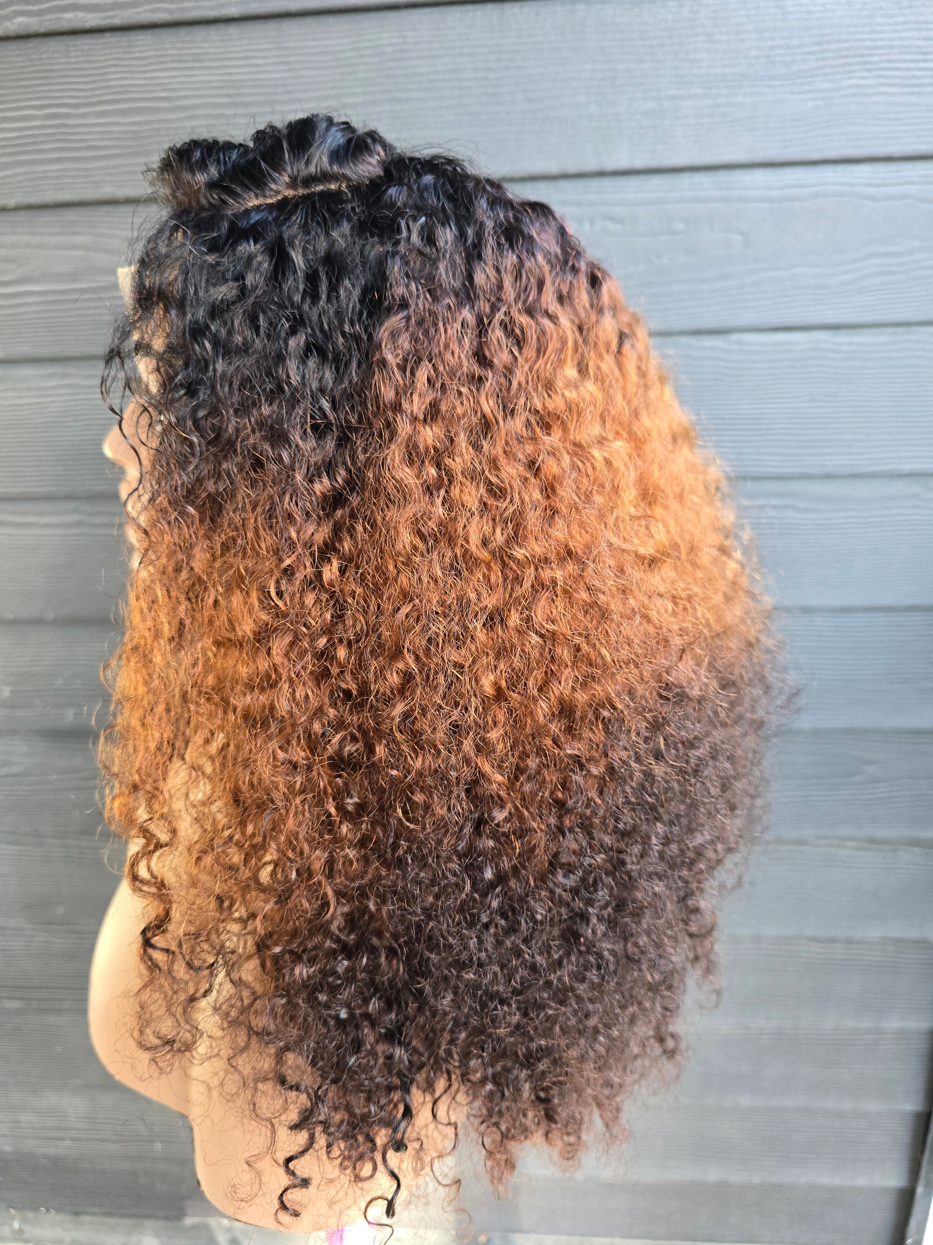 20" Curly 4x4 Lace Closure Wig - 250% Density Double Drawn (Color 2/4/350)
