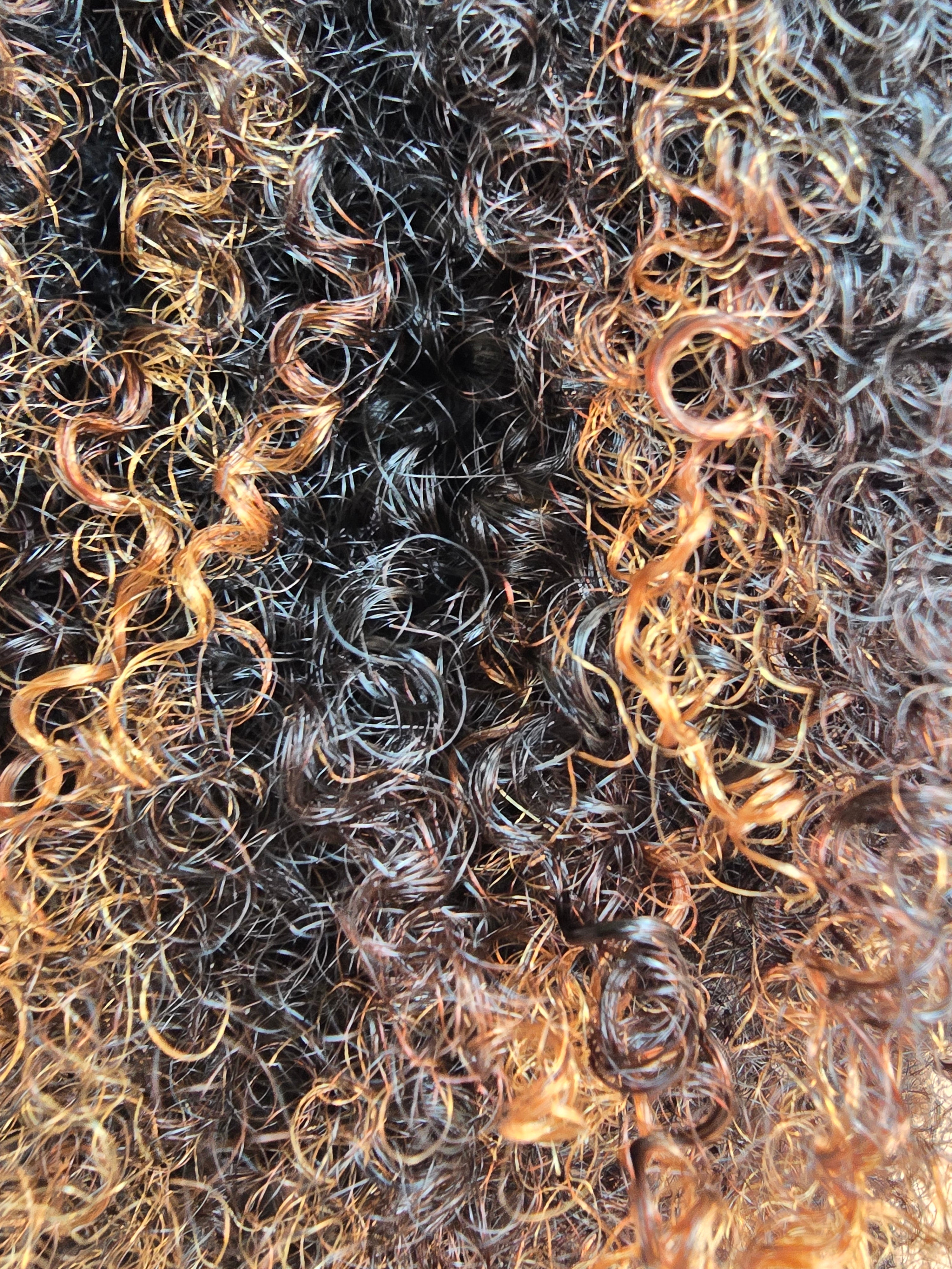 The Marbella Unit | 16 inch  4x4 Glue-less  curly Wig | 4B-4C exotic curl pattern